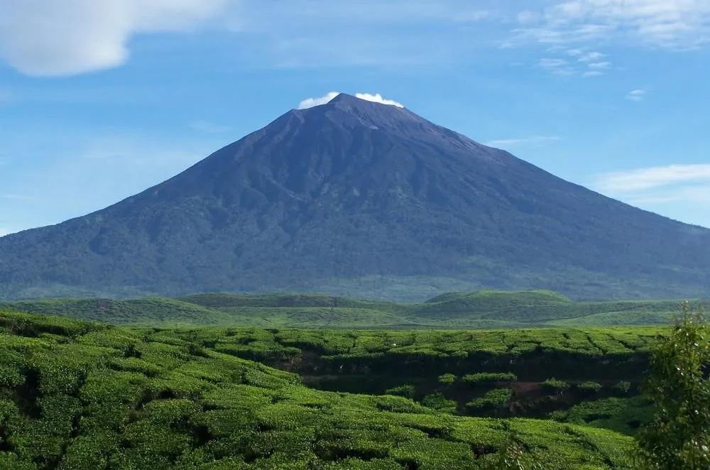 Gunung Kerinci, 1. Air Terjun Pancuran Rayo, 2. Gunung Kerinci, 3. Goa Kasah, 4. Air Terjun Telun Berasap, 5. Danau Lingkat, 6. Danau Kaco, 7. Kawasan Aroma Pecco, 8. Air Terjun Talang Kemulun, 9. Hutan Pinus Sanggaran Agung, 10. Taman Bukit Tengah