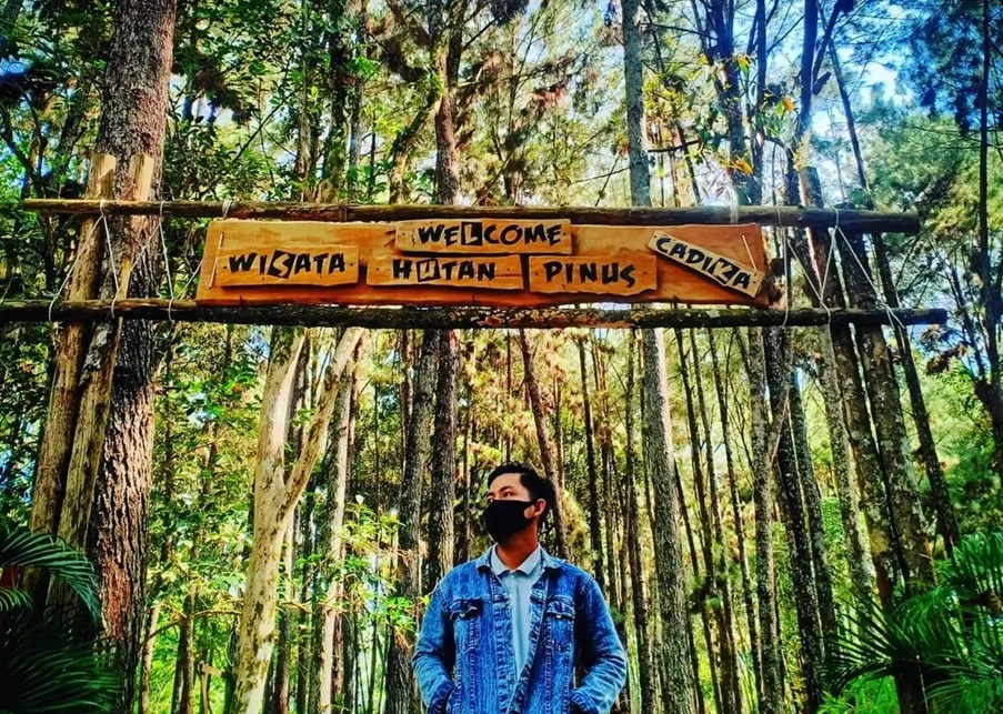 Hutan Pinus Kampar, 1. Agro Wisata Bukit Naang, 2. Dermaga Tepian Mahligai, 3. Jembatan Waterfront City, 4. Stanum Bangkinang, 5. Puncak Pukatan, 6. Sungai Hijau, 7. Taman Bunga Eceng Gondok, 8. Sungai Gulamo, 9. Hutan Pinus Kampar, 10. Bukit Kelok Indah