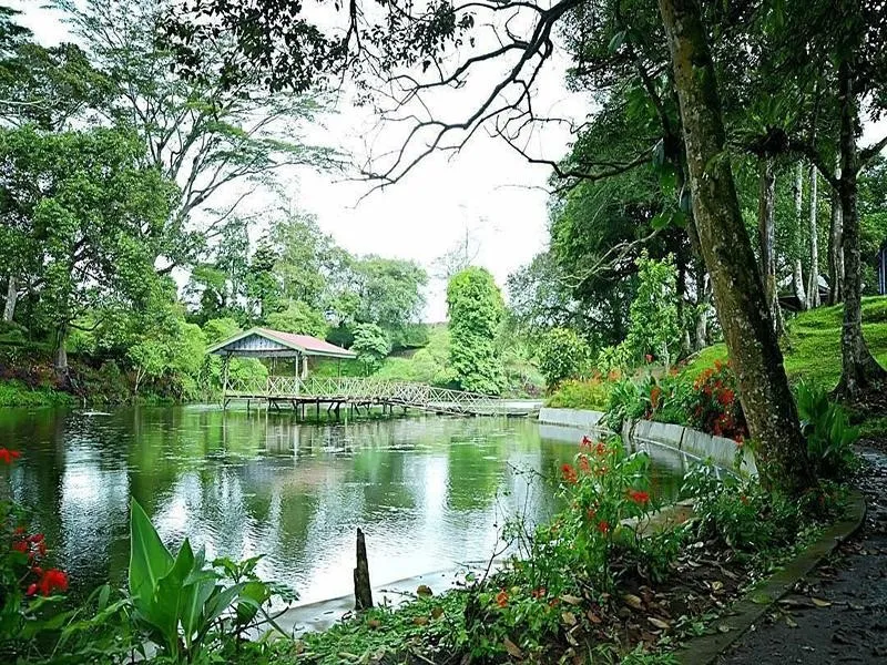 Kawasan Aroma Pecco, 1. Air Terjun Pancuran Rayo, 2. Gunung Kerinci, 3. Goa Kasah, 4. Air Terjun Telun Berasap, 5. Danau Lingkat, 6. Danau Kaco, 7. Kawasan Aroma Pecco, 8. Air Terjun Talang Kemulun, 9. Hutan Pinus Sanggaran Agung, 10. Taman Bukit Tengah