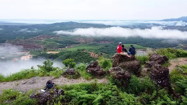 Puncak Manalese, 1. Bukit Pamingke, 2. Puncak Manalese, 3. Pulau Bisky, 4. Pantai Monyet, 5. Tebing Batu Napponol, 6. Goa Kaca, 7. Tangkahan Lobu, 8. Puncak Aek Ronggas, 9. Wisata Alam Aek Buru, 10. Air Terjun Jeri