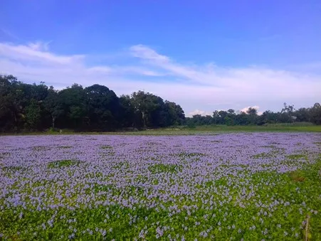 Taman Bunga Eceng Gondok, 1. Agro Wisata Bukit Naang, 2. Dermaga Tepian Mahligai, 3. Jembatan Waterfront City, 4. Stanum Bangkinang, 5. Puncak Pukatan, 6. Sungai Hijau, 7. Taman Bunga Eceng Gondok, 8. Sungai Gulamo, 9. Hutan Pinus Kampar, 10. Bukit Kelok Indah