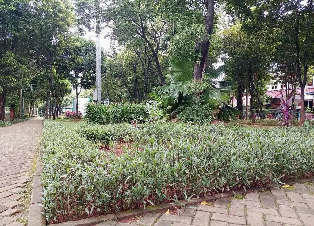 Taman Cornel Simanjuntak, 1. Taman Bambu Jakarta Timur, 2. Taman PPA, 3. Taman Piknik, 4. Taman Flamboyan, 5. Taman Apung, 6. Taman Waduk Ria Rio, 7. Taman RPTRA Bambu Petung, 8. Taman Menteng Utama, 9. Taman Cornel Simanjuntak, 10. Taman Rusa Bintik Putih Brigif