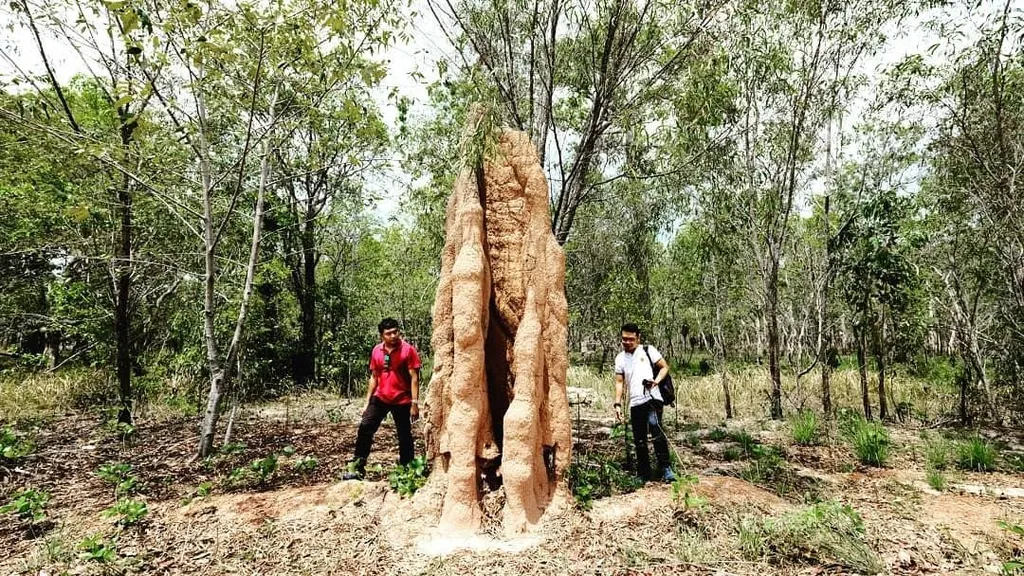 Wisata Alam 1000 Musamus, 1. Monumen Kapsul Waktu, 2. Pantai Lampu Satu, 3. Taman Nasional Wasur, 4. Lotus Garden, 5. Pantai Payum, 6. Taman Satwa Yamai Atib, 7. Pulau Habe, 8. Pantai Onggya, 9. Danau Rawa Biru, 10. Wisata Alam 1000 Musamus