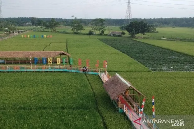Wisata Punden Rejo, 1. Tirta Mas Waterpark, 2. Budaya Land, 3. Taman Bunga Madirsan, 4. Waterland Tamora, 5. Wisata Punden Rejo