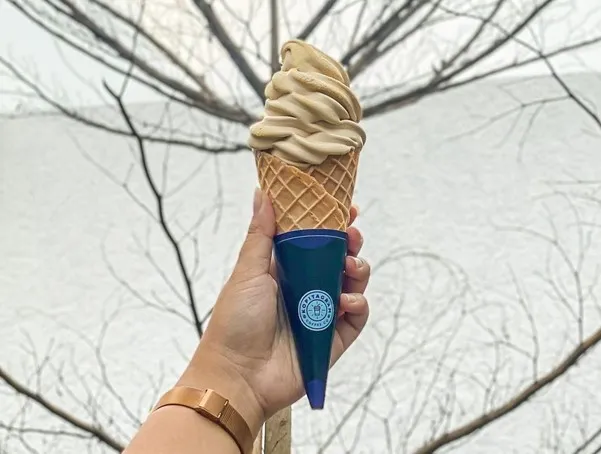 Avo Coffee Ice Cream