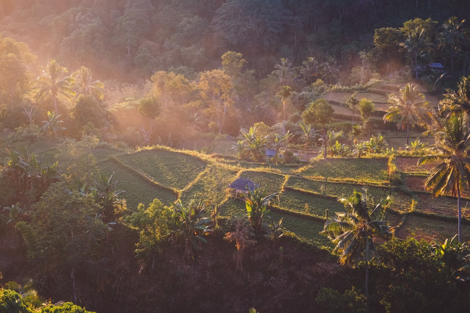 15 Destinasi Wisata Lombok yang Lagi Hits