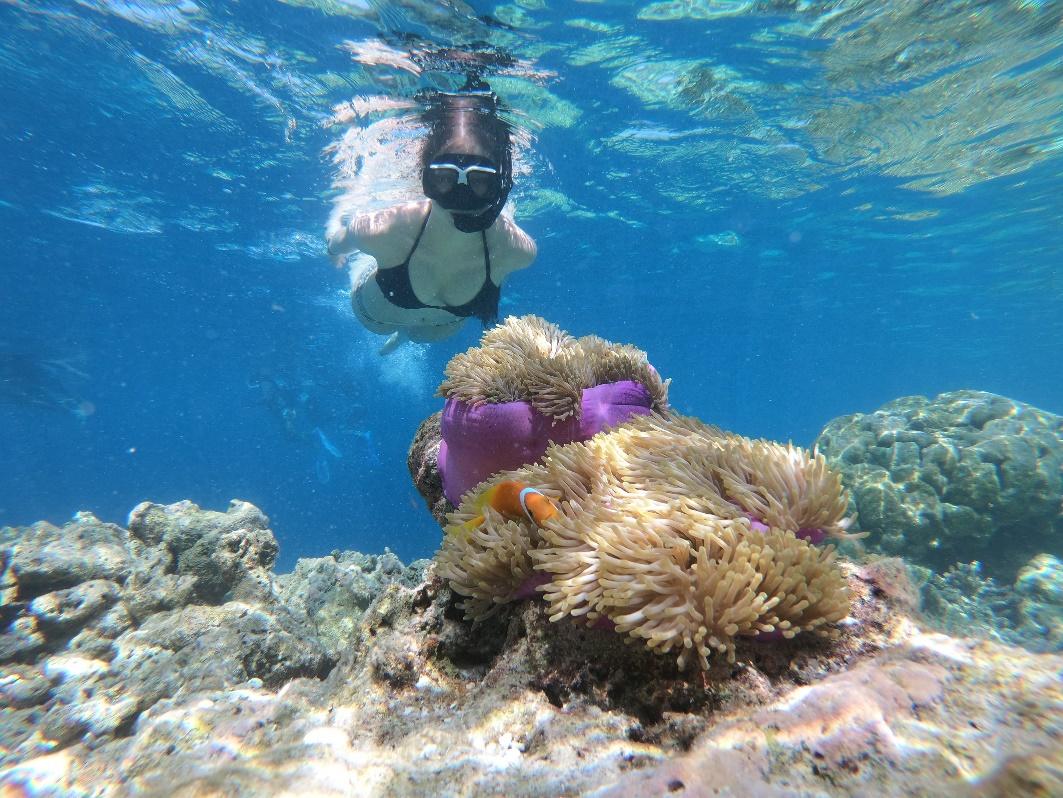 Pahawang Island (Lampung): Hidden Paradise for Snorkeling