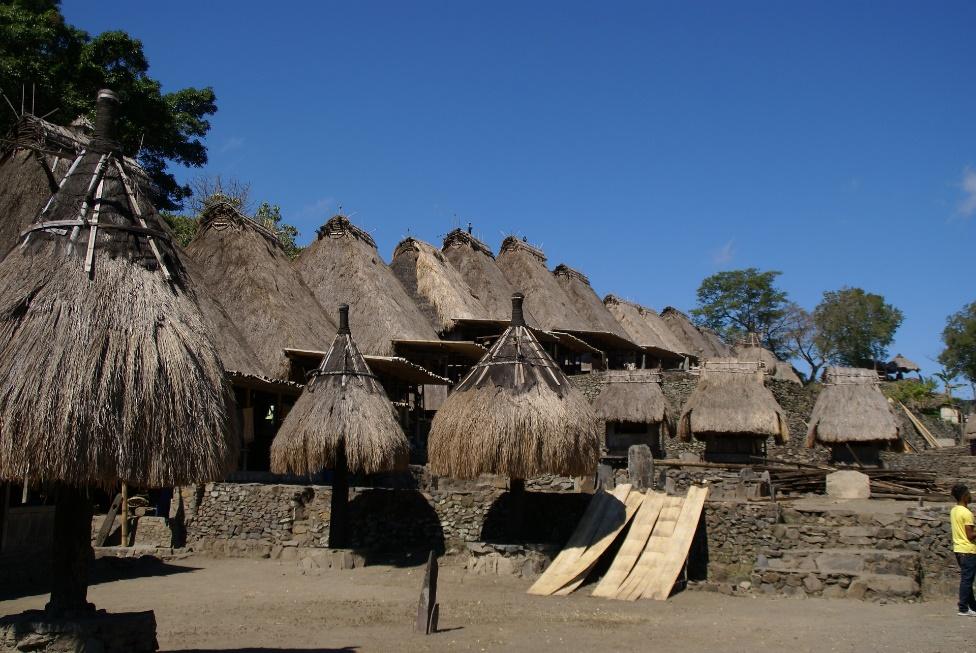 4 Essential Things to Do  in Flores  (Indonesia)