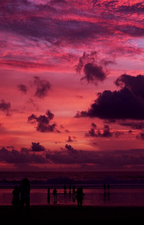 10+ Favorite Things to Do in Seminyak Bali, 2. Ride a Horse, 3. Adore Petitenget Temple, 4. Chill at Beach Club, 5. Drink Coffee , 6. Surfing, 7. Go Shopping, 8. Spa and Massage, 9. Visit the Art Gallery, 10. Totem Room Escape Challenge