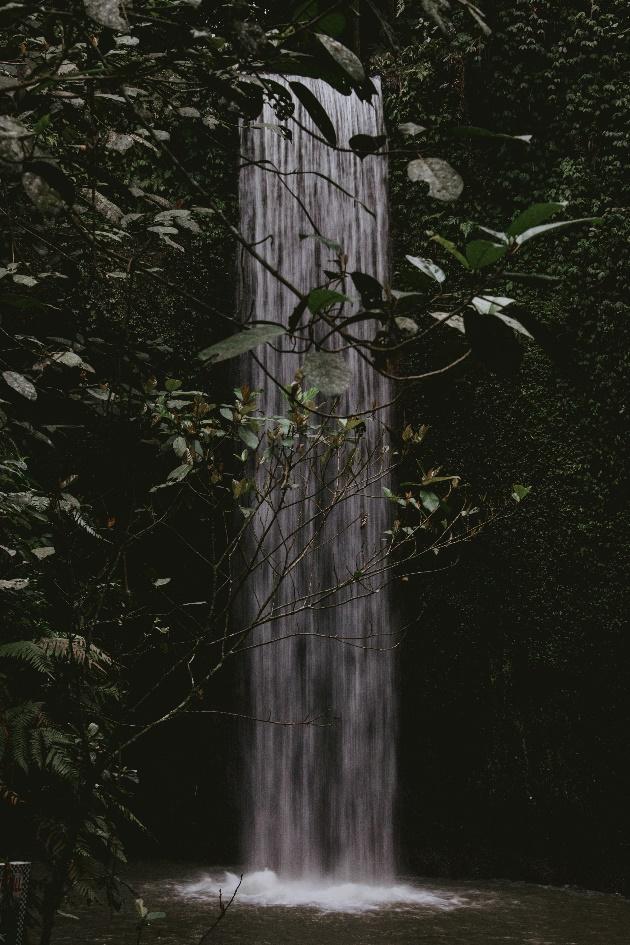 10 Things You Must Do in Ubud, Bali (2025), 1. Campuhan Ridge Walk, 2. Tegalalang Rice Fields, 3. Dive in The Waterfalls in Ubud, 4. Ayung River Rafting , 5. Goa Gajah (Elephant Cave), 6. Ubud Monkey Forest, 7. Practice Yoga, 8. Museum Hopping, 9. Shop at The Art Market, 10. Visit Pura Saren Agung