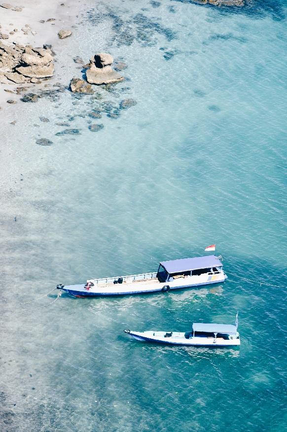 Komodo Island, Land of The Last Dragons in Indonesia