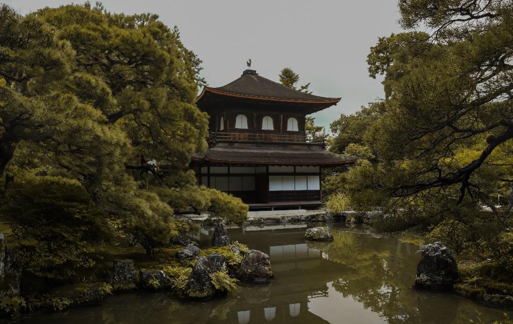 10 Essential Things To Do in Tokyo 2025, Visiting Sensoji Temple, Glancing from Tokyo Tower, Have Fun at Ghibli Museum , Chilling at Zen Garden, Go Nuts at Akihabara, Get Freaky at Robot Restaurant, Practice Sumo , Buy from Vending Machines , Ramen Hunting