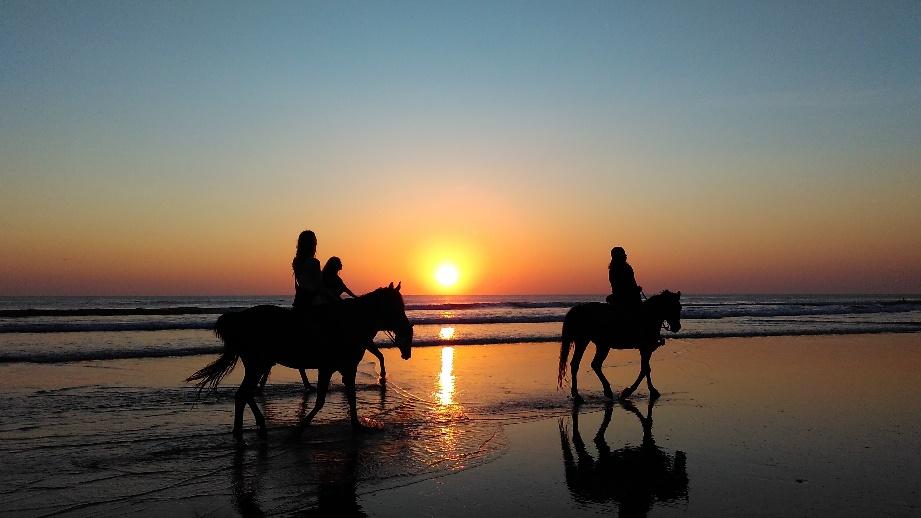 10+ Favorite Things to Do in Seminyak Bali, 2. Ride a Horse, 3. Adore Petitenget Temple, 4. Chill at Beach Club, 5. Drink Coffee , 6. Surfing, 7. Go Shopping, 8. Spa and Massage, 9. Visit the Art Gallery, 10. Totem Room Escape Challenge