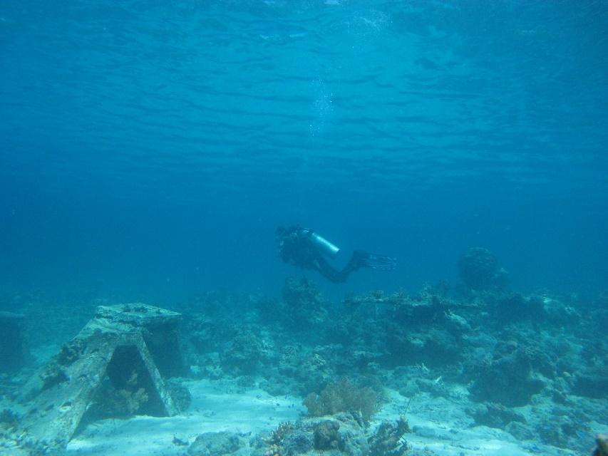 Menjangan Island, The Hidden Jewel in Bali