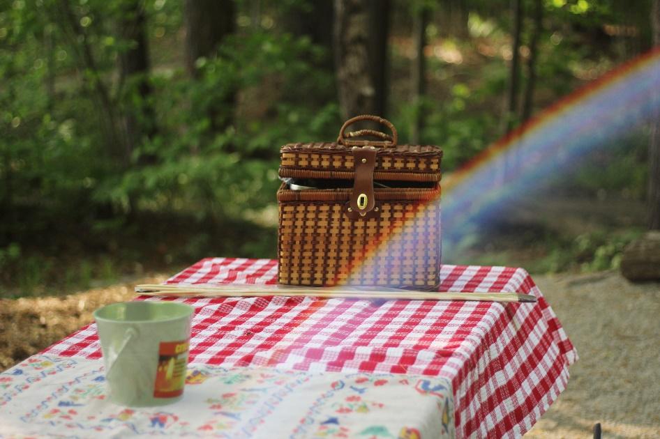 Escape to Bogor Botanical Garden 2025, Bogor Botanical Garden, Picnic with Your Family, Exercise in Bogor Botanical Garden, Relax and sip at Grand Garden Cafe, Glancing at the Endangered Species, Explore Bogor Botanical Garden Through Apps