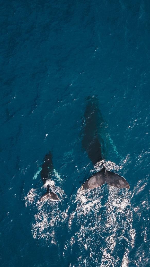 The 2025 World’s Best Islands to Visit in Hawaii