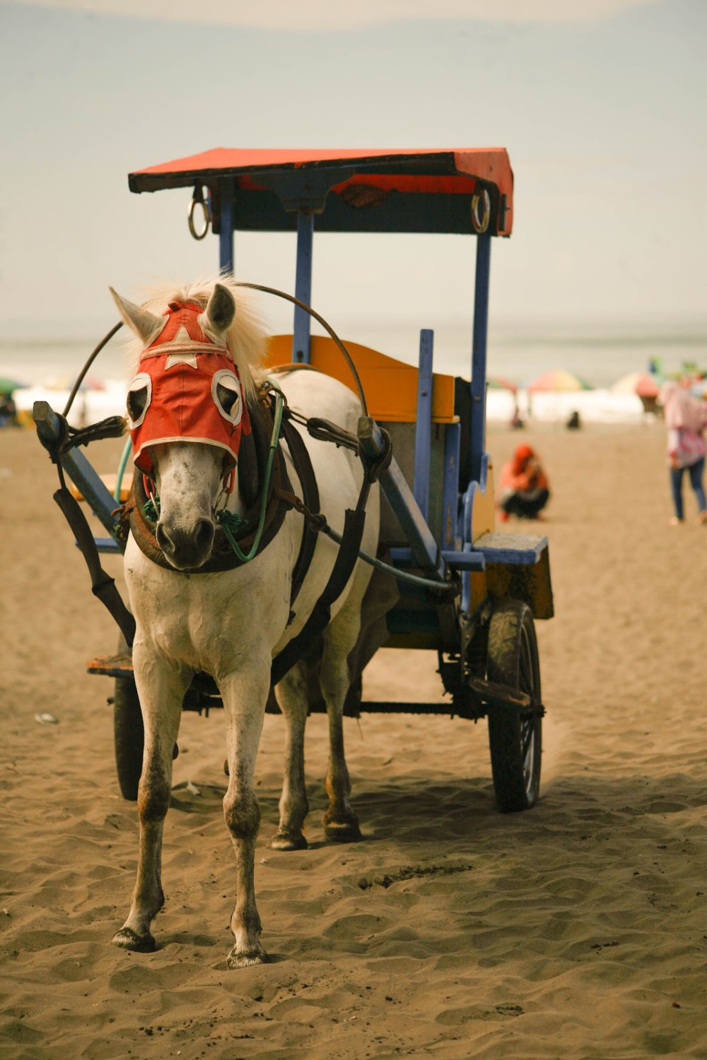 Pantai Parangtritis, Menikmati Keindahan Pantai Terbaik Yogyakarta
