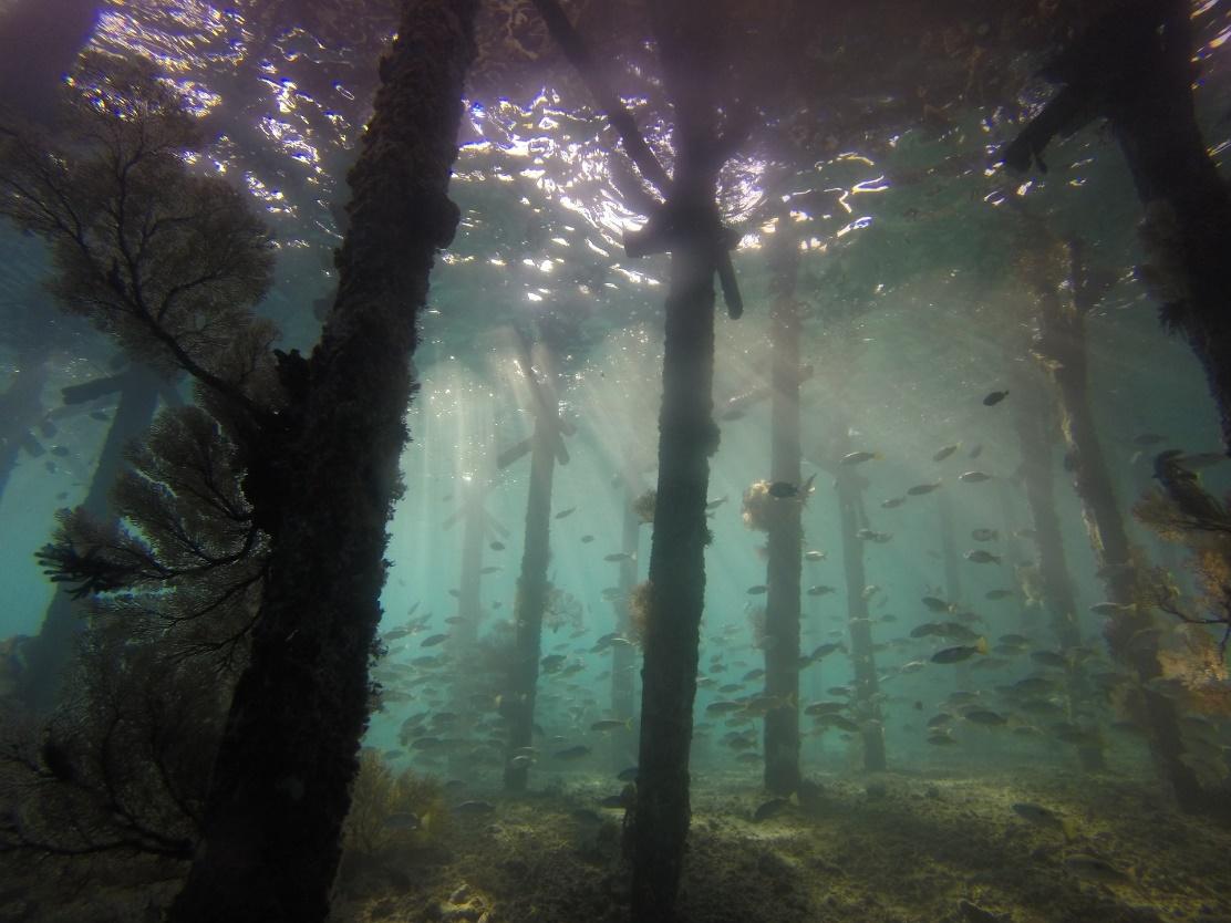 Derawan Islands: Discover Hidden Paradise in East Kalimantan