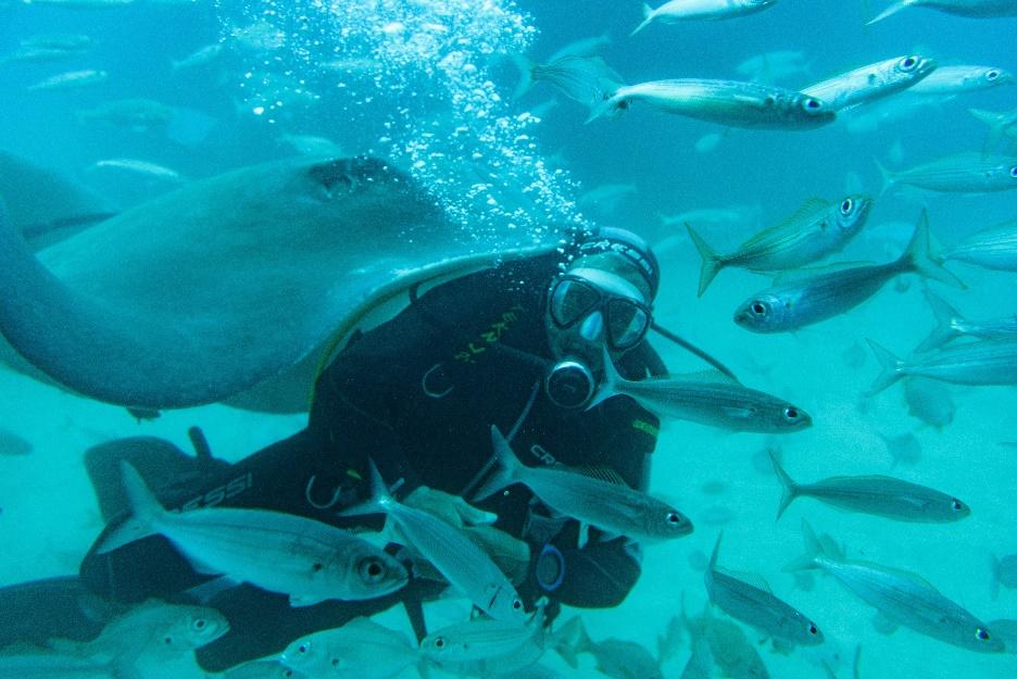 Derawan Islands: Discover Hidden Paradise in East Kalimantan