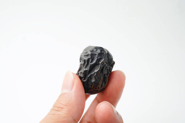 Mengenal Kurma Ajwa, Kurma Spesial Berharga Premium, Apa itu Kurma Ajwa?, Bentuk dan Cita-Rasa Kurma Ajwa, Kandungan Nutrisi, Cara Menikmati Kurma Ajwa