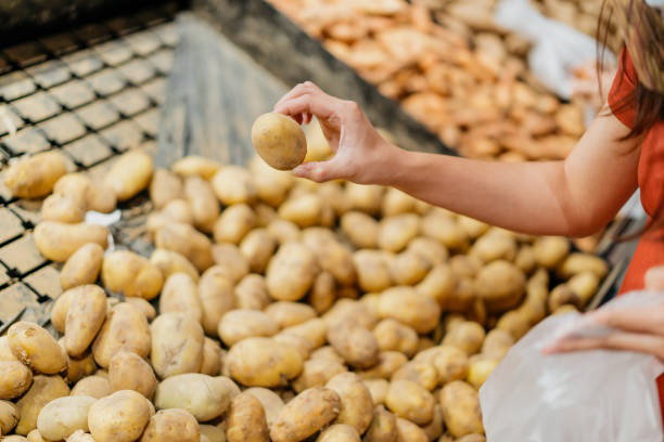 Article image, Mengenal Kentang untuk Konsumsi, Apa itu Greening?, Apakah Berbahaya Makan Kentang yang Sudah Berwarna Hijau?, Cara Menanggulangi Kentang Berwarna Hijau
