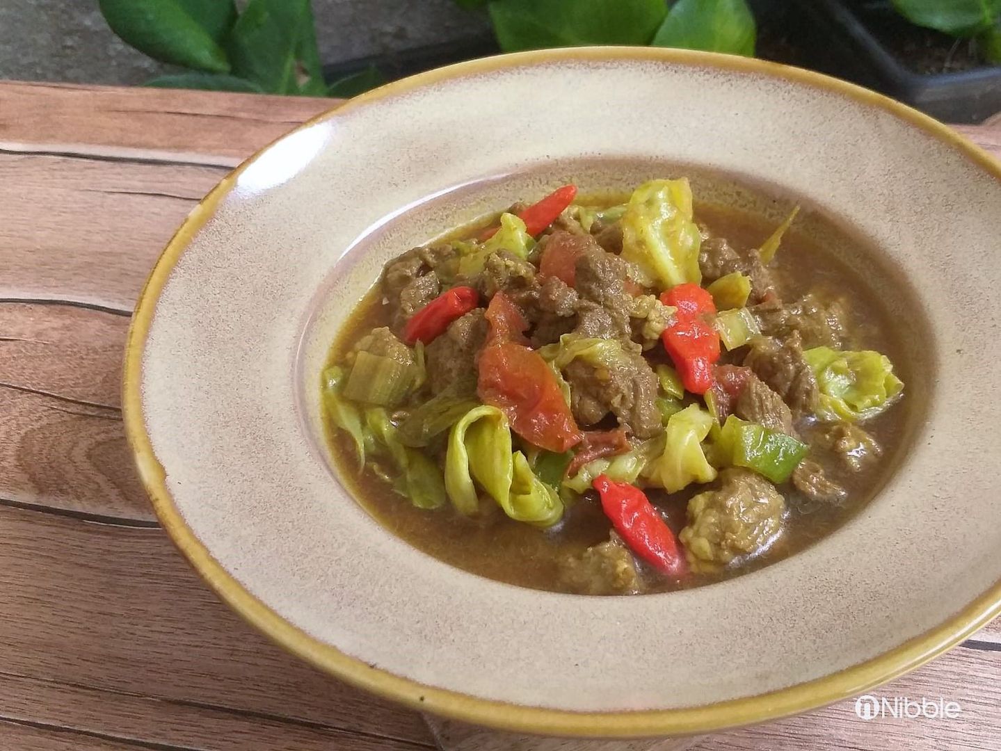 Resep Tongseng Daging Sapi Tanpa Santan