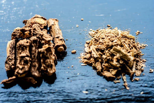 Article image, Apa Itu Sarsaparilla?, Serupa tapi Beda dengan Root Beer, Sarsaparilla di Indonesia, Manfaat Sarsaparilla