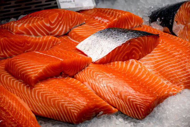 Article image, Salmon dan Kuliner Jepang, “Project Japan” Mempopulerkan Salmon Sushi dan Sashimi, Keunggulan Salmon Atlantik Norwegia, Salmon Makin Mendunia