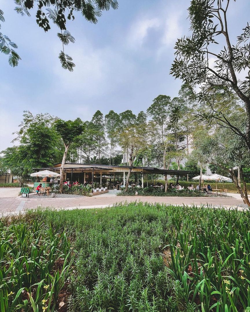 Ada Apa di Urban Forest Cipete?, Punya Spot Kuliner yang Seru, Fasilitas Umum Lainnya di Urban Forest Cipete, Lokasi dan Jam Operasional