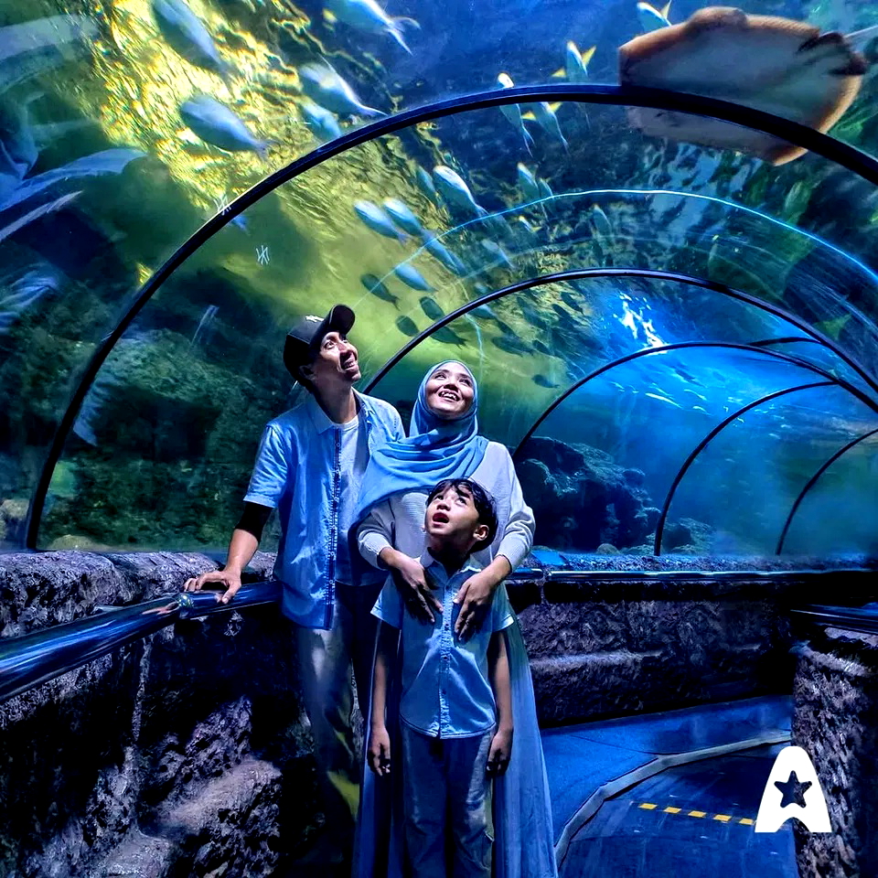 5 Wisata Aquarium di Jakarta, Menghibur dan Edukatif