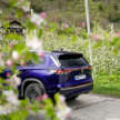 Volkswagen Tayron Australia launch in Sept – Tiguan Allspace replacement, 7 seats, coming to Malaysia?