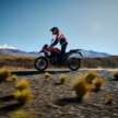 BMW Motorrad updates colours and options for 2025