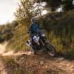 BMW Motorrad updates colours and options for 2025