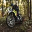BMW Motorrad updates colours and options for 2025