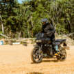 2025 Harley-Davidson line-up – updated and improved
