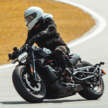 2025 Harley-Davidson line-up – updated and improved