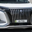 2026 Denza D9 EV leaked in China – new grille design, now with 462 PS with FWD, 557 PS with AWD