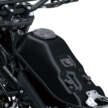 2025 Kawasaki KLX230 S/SM launched in Malaysia, priced at RM23,000 for S, RM23,600 for SM