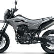 2025 Kawasaki KLX230 S/SM launched in Malaysia, priced at RM23,000 for S, RM23,600 for SM