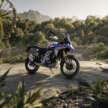 BMW Motorrad F450 GS launched, 48 hp, auto clutch