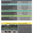 MG S5, Zeekr X, BYD Seal, Suzuki Fronx awarded ASEAN NCAP five-star ratings in 2021-2025 protocol