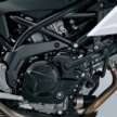 2026 Suzuki SV-7GX shown at EICMA, 73 PS, 64 Nm