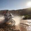 BMW Motorrad reveals 2026 motorcycle colour options