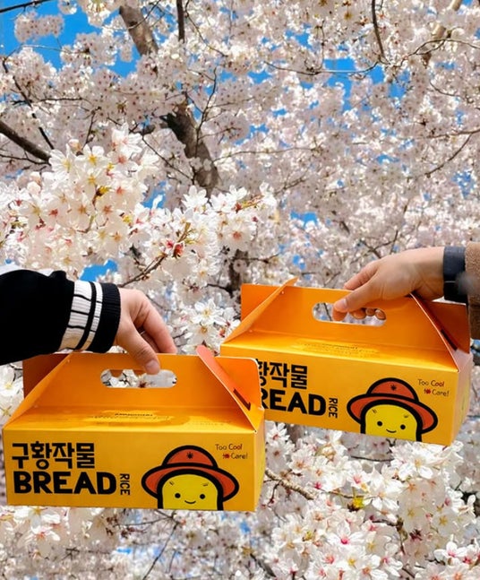 TVメディアや「skipdo」で紹介、ジョンナンミミョンガは日韓で人気拡大中, 韓国で定番人気、世界に広がるジョンナンミパンの魅力, 【冷凍パンギフトも人気！楽天ランキング受賞の話題商品】, ジョンナンミパンの美味しさの秘訣は、コンベクションオーブンにあり！？