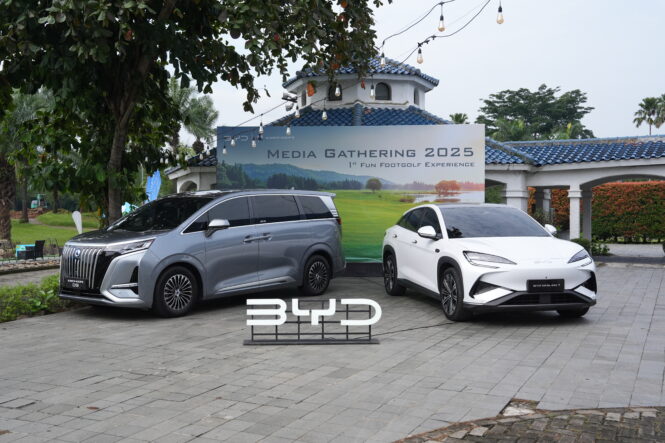 byd dan denza