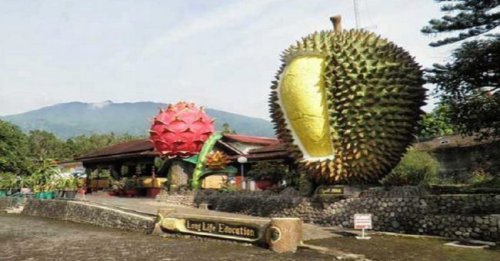 Warso Farm Bogor: Harga Durian, Tiket Masuk, Fasilitas, Wahana Dll
