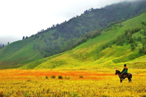 Top 53+ Tempat Wisata di Probolinggo Hits &amp; Terbaru yang Wajib Dikunjungi