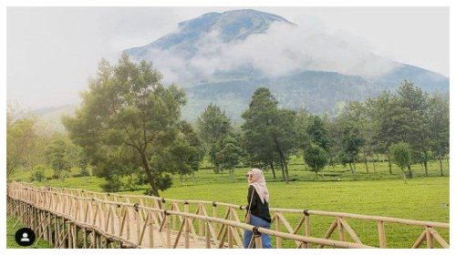 Kebun Teh Tambi: Harga Tiket Masuk, Aktivitas Seru, Paket Wisata dll