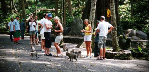 1. Monkey Forest, 2.&nbsp;Istana Ubud, 3.&nbsp;Desa Visesa Ubud, 4. Pasar Seni Ubud, 5. Puri Saren Agung Ubud, 6. Goa Gajah (Elephant Cave), 7. Agung Rai Museum of Art (ARMA) Ubud, 8. Pura Taman Kemuda Saraswati, 9. Ayung Rafting, 10. Alas Harum Bali, 11. Tari Legong Mahabharata Di Puri Ubud, 12.&nbsp;Air Terjun Tegenungan, 13. Campuhan Ridge Walk, 14. Gunung Kawi Ubud, 15. Pura Kehen Ubud, 16. Tirta Empul Ubud, 17. Ubud me Sari Luwak Coffee, 18. Resto Bebek Bengil Ubud, 19.&nbsp;Bali Bird &amp; Reptile Park, 20. Museum Antonio Blanco Ubud, 21. Museum Rudana Ubud, 22.&nbsp;Nyuh Kuning Village, 23. Mason Elephant Park &amp; Lodge, 24. Museum Puri Lukisan Ubud, Museum Tertua di Bali, 25. Bali ATV Ride, 26. Desa Celuk, 27. The Yoga Barn, 28.&nbsp;Trekking Authentik Bali, 29. Swept Away at The Samaya Ubud, 30. La View Restaurant, 31. Seniman Coffee Studio, 32. Ketuts Bali Cooking Class, 33. Four Seasons Resort Bali At Sayan, 34. Hanging Gardens Of Bali, 35. Zen Hideaway, 36. Bali Pulina, 38. Museum Seni Neka Ubud, , 39. Folk Pool &amp; Gardens, Top 39+ Tempat Wisata di Ubud Terbaik & Hits yang Wajib Dikunjungi