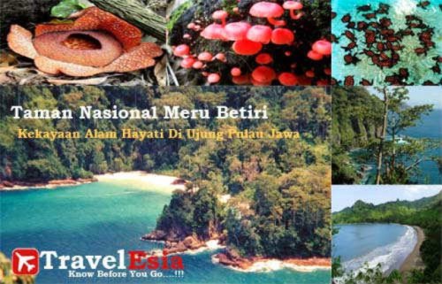 Taman Nasional Meru Betiri, Daya Tarik Wisata Sejuta Pesona
